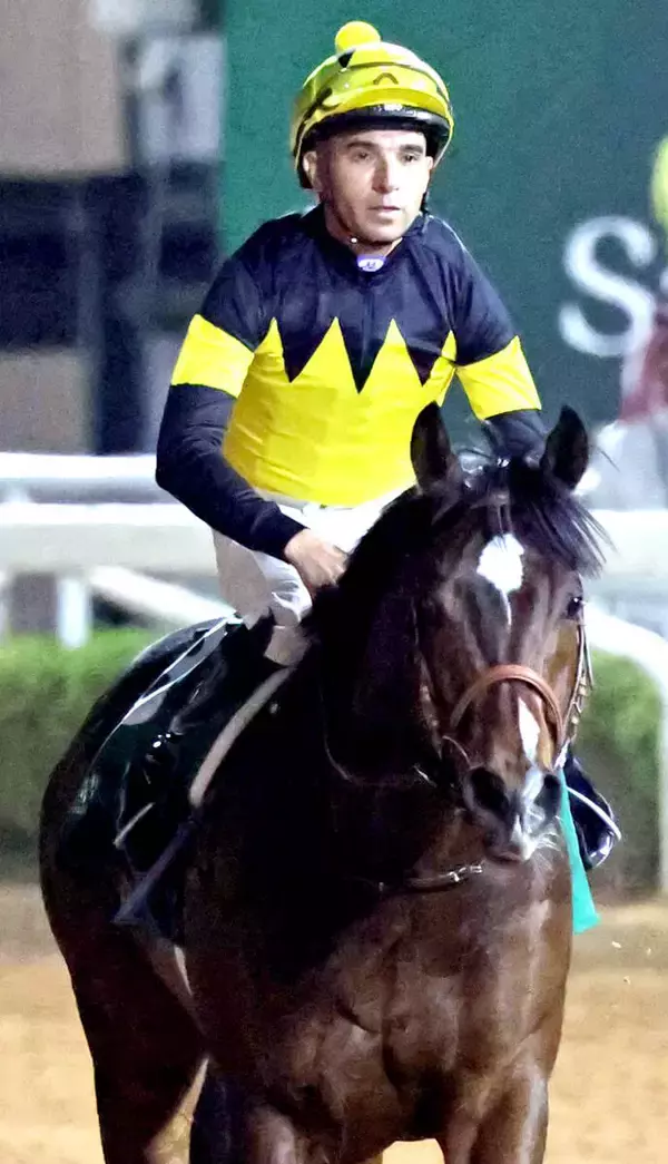 【注目馬動向】１３５１ターフスプリント５着パンジャタワーは高松宮記念へ　松山弘平騎手とのコンビ復活