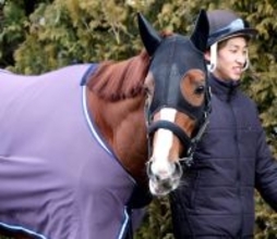 【岩田康誠の熱血！！競馬道】フェブラリーＳのオメガギネスは自分のリズムで運んでどこまで「はまった時の脚はＧ１級」