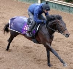 【注目馬動向】ミュージアムマイルは変わらずドバイ・ターフへ　出走しない場合は大阪杯かクイーンエリザベス２世カップ視野