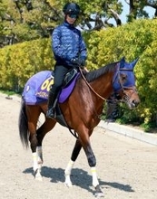 【大阪杯】レーベンスティールの７枠１２番に田中博調教師は好印象　「嫌だなという枠には感じなかった」