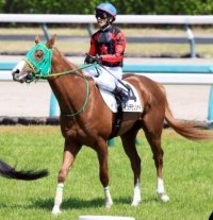【注目馬動向】ホリエモンこと堀江貴文氏の愛馬イッテラッシャイは鳳雛Ｓへ　斎藤誠調教師「今後も楽しみ」