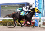 「【浦和競馬】福原杏騎手が新馬戦連勝　センチュリースター＆ワイルドウルル」の画像1