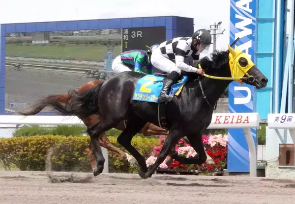 【浦和競馬】福原杏騎手が新馬戦連勝　センチュリースター＆ワイルドウルル