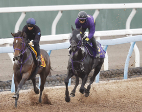 【安田記念・１週前】重賞連勝中トロヴァトーレは鋭く１１秒２　鹿戸調教師「ダートを試したりしたことがいい方向に出たのかも」