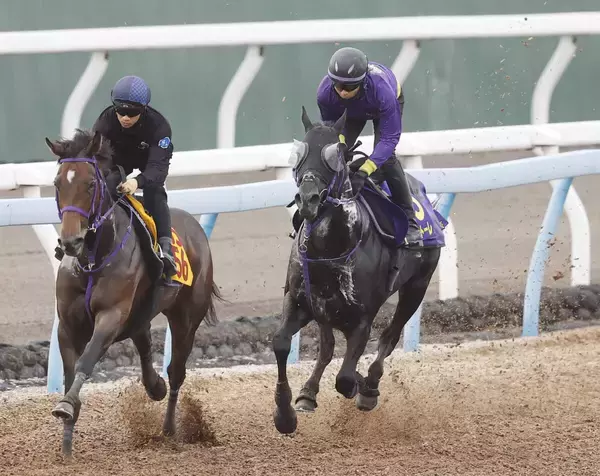 【安田記念・１週前】重賞連勝中トロヴァトーレは鋭く１１秒２　鹿戸調教師「ダートを試したりしたことがいい方向に出たのかも」