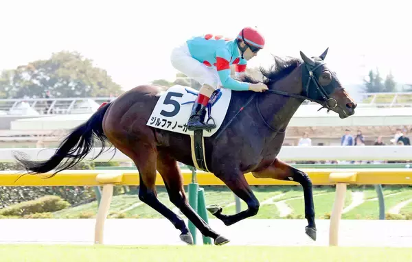 【東京４Ｒ・２歳新馬】１番人気ジルファノーガ父にＪＲＡ初勝利をプレゼント　ルメール騎手も褒める「真面目で...」