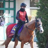 「【朝日杯ＦＳ】福永厩舎のダイヤモンドノットは中間も中身の濃い調教　陣営「食べるので調教も積めています」」の画像1