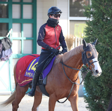 【朝日杯ＦＳ】福永厩舎のダイヤモンドノットは中間も中身の濃い調教　陣営「食べるので調教も積めています」