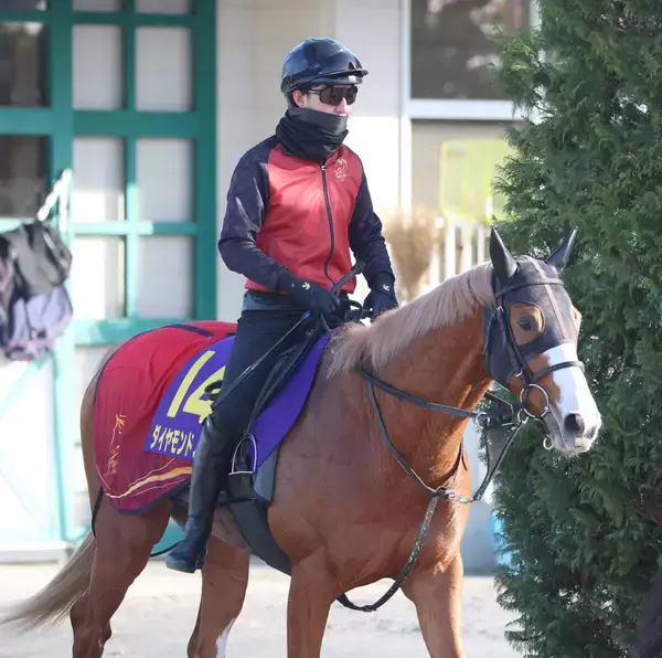 【朝日杯ＦＳ】福永厩舎のダイヤモンドノットは中間も中身の濃い調教　陣営「食べるので調教も積めています」