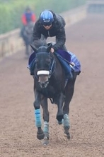 【ホープフルＳ】ジャスティンビスタは坂路で微調整も好仕上がり　吉岡調教師「前走以上の力を出せる」