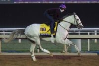 【ペガサスＷＣ】ホワイトアバリオは連覇ならず２着　４年連続挑戦のスキッピーロングストッキングＶ