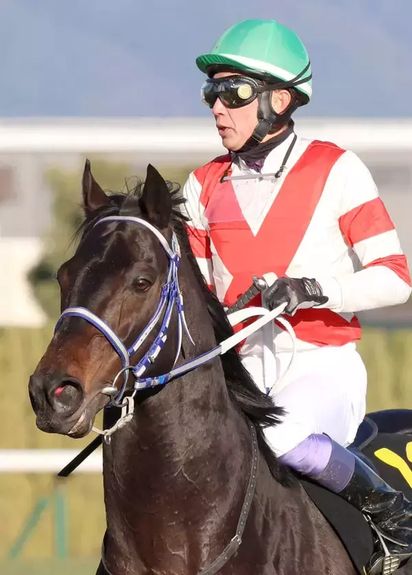 【シルクロードＳ】武豊騎手騎乗のヤブサメは５着　直線で脚を伸ばすも重賞初制覇ならず