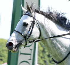【小倉ジャンプＳ】サンデイビスが重賞２勝目　上野翔騎手はＪＲＡ通算１００勝　断然人気ジューンベロシティは２着
