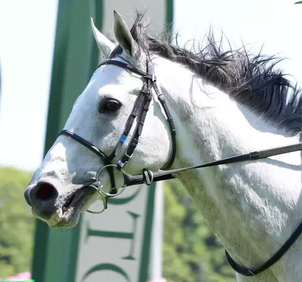 【小倉ジャンプＳ】サンデイビスが重賞２勝目　上野翔騎手はＪＲＡ通算１００勝　断然人気ジューンベロシティは２着