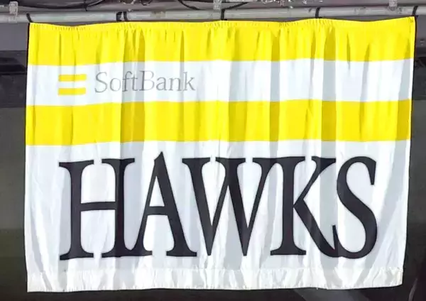 【ソフトバンク】Ｂ組のオーストラリア代表戦は雨天中止