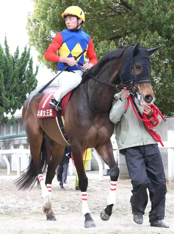 ２０２３年レパードＳなど重賞４勝のライオットガールが競走馬登録抹消　繁殖入りを予定