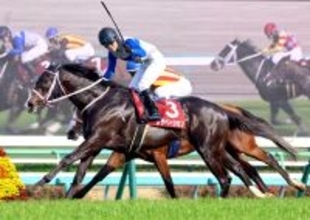 【ニュージーランドＴ】ＮＨＫマイルＣ出走権“確保”　６番人気レザベーション　ゴール前の競り合いを首差で制し重賞初制覇　