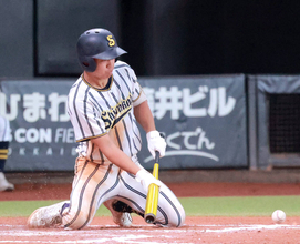 【高校野球】白樺学園が帯広三条との“十勝ダービー”制して３年連続決勝進出　春の地区代表決定戦で完封負けした相手を”バント攻撃”で攻略…北北海道大会