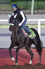 【中京２歳Ｓ】ＪＲＡ女性トレーナー初の重賞制覇に挑む前川恭子調教師　ジーティーマイカは「やれると思っています」
