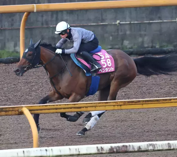 【マリーンＣ・枠順確定】関東オークス制覇のペンダントは４番枠　東京プリンセス賞Ｖのへスペリスは７番枠