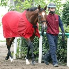 １８年の共同通信杯覇者オウケンムーンが競走馬登録を抹消　今後は地方競馬に移籍