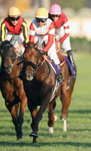 【ジャパンＣ】国内復帰戦のダノンデサイルは３着　戸崎圭太騎手は初Ｖならず「最後は力みが影響した」