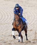 「【アメリカＪＣＣ】追い込み届かずドゥラドーレス２着　ルメール騎手は２日連続重賞Ｖならずも「いい競馬できた」」の画像1