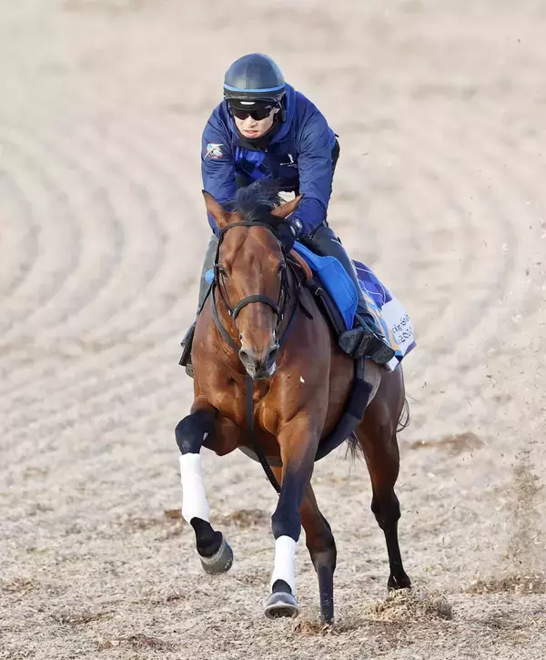 【アメリカＪＣＣ】追い込み届かずドゥラドーレス２着　ルメール騎手は２日連続重賞Ｖならずも「いい競馬できた」