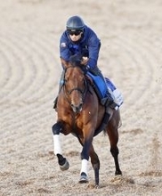 【アメリカＪＣＣ】ルメール騎手は２日連続重賞制覇ならず　１番人気ドゥラドーレスで追い込むも２着