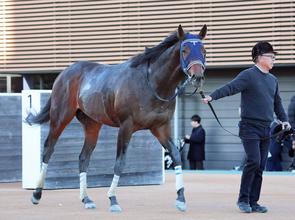 【注目馬動向】黒竹賞を勝ったマクリールは雲取賞、またはヒヤシンスＳが次走の選択肢