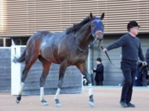 【注目馬動向】黒竹賞を勝ったマクリールは雲取賞、またはヒヤシンスＳが次走の選択肢