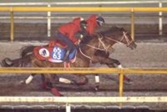 【サウジＣ】７７秒６の猛時計！フォーエバーヤングが国内最終追いで先着　坂井瑠星騎手「しっかり動けていました」