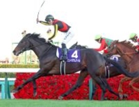 【注目馬動向】昨年の最優秀３歳牡馬ミュージアムマイルが初の海外遠征となるドバイ・ターフの招待を受諾