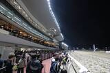 「ＧＤＪ古馬・春シーズンは大井のマーブルマウンテンが総合優勝　１位ボーナス賞金１０００万円ゲット」の画像1
