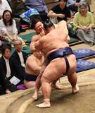 「一意、初の十両優勝に王手　来場所の新入幕濃厚も「どこで戦おうが自分の相撲を取るだけ。先は見てない」」の画像1