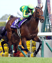 電撃引退のサトノレーヴは種牡馬入りへ　堀宣行調教師「温かいご声援を賜り、誠にありがとうございました」