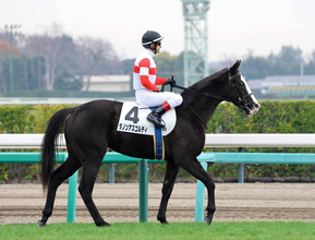 【中山６Ｒ・２歳新馬】４億円馬ダノンアスコルティの初戦は４着　ルメール騎手「これから良くなる」