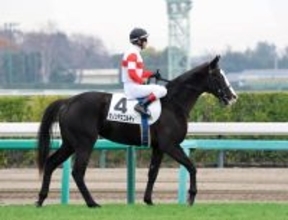 【中山６Ｒ・２歳新馬】４億円馬ダノンアスコルティの初戦は４着　ルメール騎手「これから良くなる」