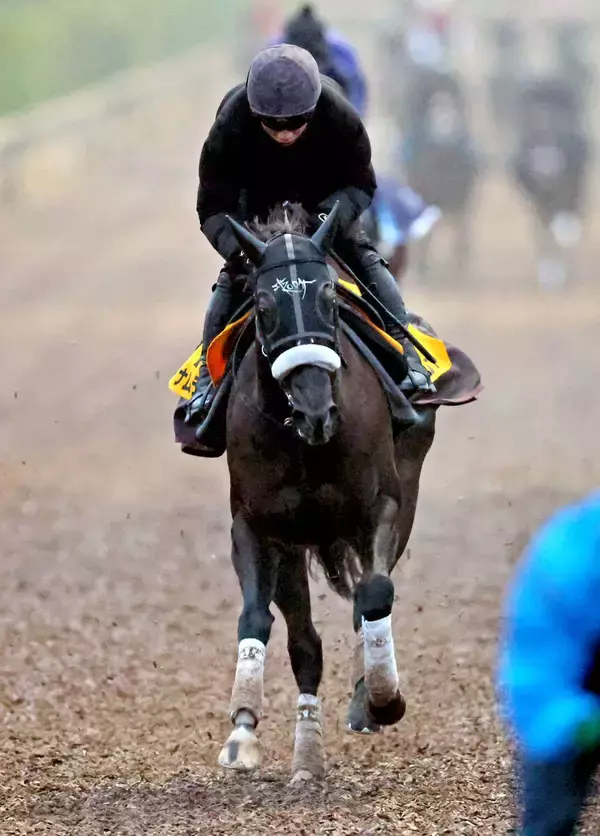 【阪神Ｃ】ルメール騎手「惜しかった」ナムラクレア猛烈追い上げも２着　連覇＆牝馬初の５年連続重賞Ｖならず