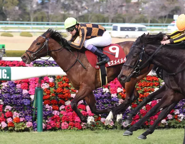 重賞３勝のモズメイメイが引退　繁殖入りへ　前川調教師「いい子を出してほしい」