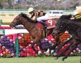 重賞３勝のモズメイメイが引退　繁殖入りへ　前川調教師「いい子を出してほしい」