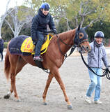 「【根岸Ｓ・イシゴーの特注馬】初砂投入マピュースに魅力　陣営＆父から適性高い可能性感じる」の画像1