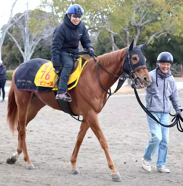 【根岸Ｓ・イシゴーの特注馬】初砂投入マピュースに魅力　陣営＆父から適性高い可能性感じる