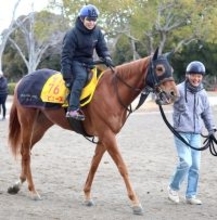 【根岸Ｓ・イシゴーの特注馬】初砂投入マピュースに魅力　陣営＆父から適性高い可能性感じる