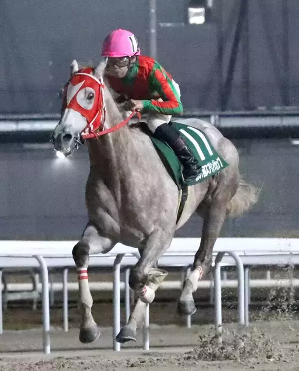 ２戦連続単勝１・０倍で圧勝「地方の器じゃねぇ」「予定調和」名古屋最強馬にネット歓喜　アストラビアンコがスプリングＣ制覇