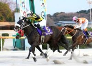 「佐賀のホシ」「一番の星」単勝１・４倍断然人気馬の復活勝利にＳＮＳ歓喜　報知新聞社杯九州クラウンＶのウルトラノホシ
