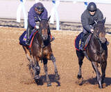 「【皐月賞・１週前】パントルナイーフは楽な手応えで併入　陣営「いい追い切り」報知杯弥生賞回避の影響なく順調」の画像1