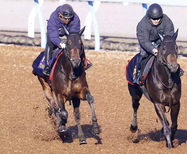 【皐月賞・１週前】パントルナイーフは楽な手応えで併入　陣営「いい追い切り」報知杯弥生賞回避の影響なく順調