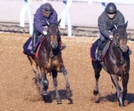 【皐月賞・１週前】パントルナイーフは楽な手応えで併入　陣営「いい追い切り」報知杯弥生賞回避の影響なく順調