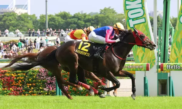 【プリンシパルＳ】一発勝負の“ダービー切符”をメイショウハチコウがつかむ　ディー騎手「素晴らしい馬」